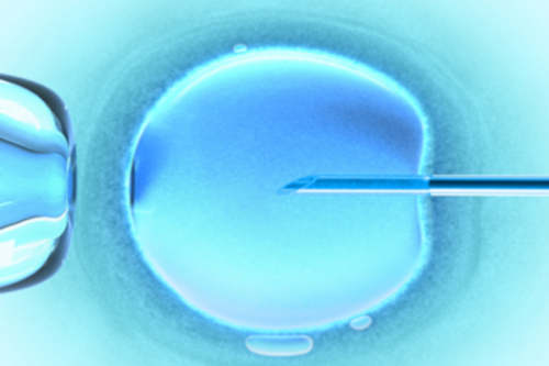 2026年安医附院试管婴儿技术解析：助您了解费用与成功率