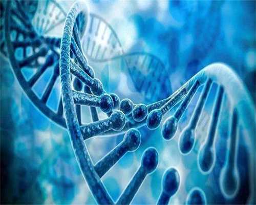 内蒙代孕与沧州助孕费用解析：三家医院的详细花费指南