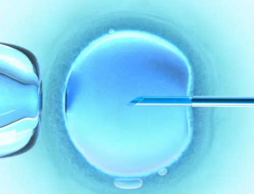 启辰代孕中介_石榴石可以助孕吗,大连民办院校三代试管婴儿前20名？能否成功