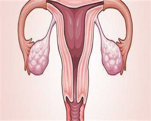 荆门三代试管婴儿医院及成功率解析