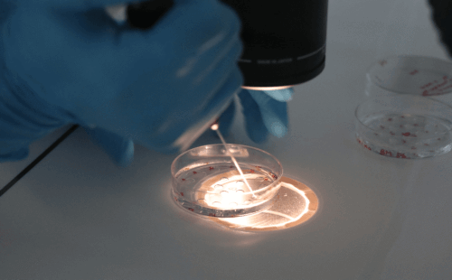 三代试管婴儿：西宁与海外助孕机构的抉择与策略