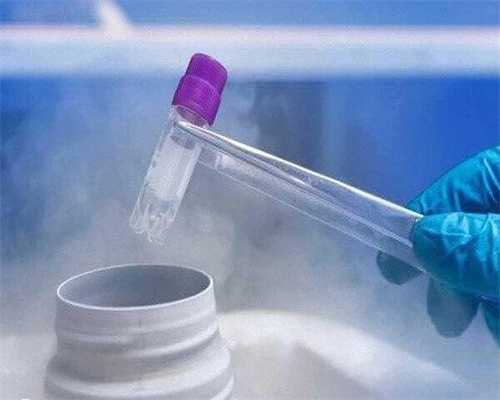 试管代孕正规医院,数论都有哪些内容（数论*括哪些内容）