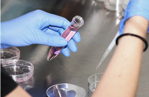 启辰助孕联系方式：重庆试管婴儿费用揭晓