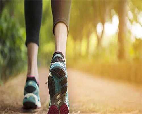 揭秘供卵试管婴儿：一次可获取几个卵子？