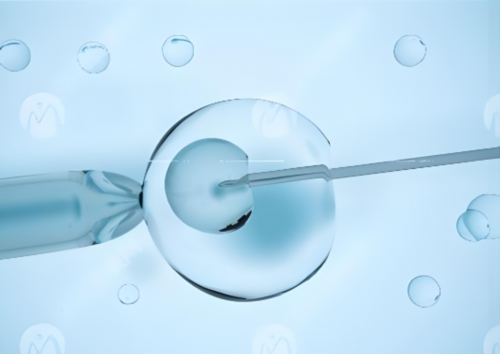 传承生殖：西安试管婴儿费用解析