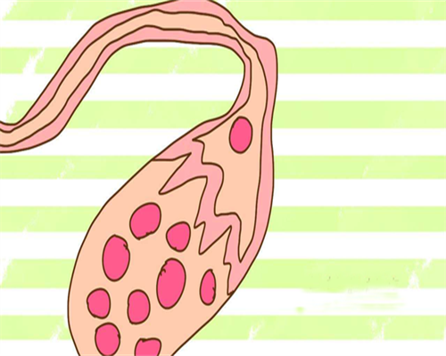 巢湖地区优质试管助孕机构一览