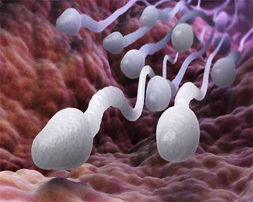 探索泰国试管婴儿：费用标准与成功率全解析