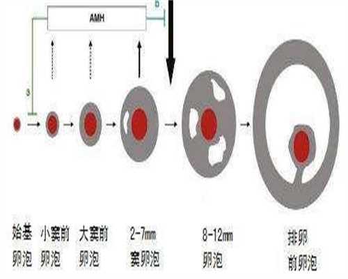 国内精选试管助孕医院概览，哪家医院助您好孕？