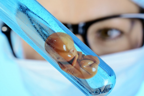 柬埔寨试管婴儿医院哪家好！柬埔寨试管助孕机构！