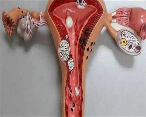 代妈直招：二胎奖励金如何申领？