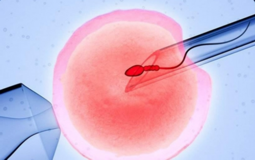 探秘试管移植前内膜调理：助您顺利迎接好孕，优选代怀服务