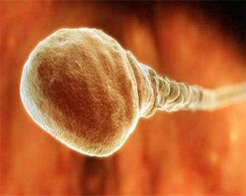 2026年三代试管正规借卵医院榜单及前三名解读