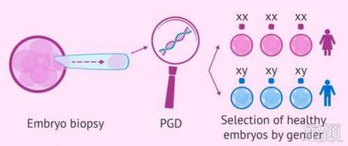 济宁启辰助孕医院：圆梦三代试管包成功套餐解析