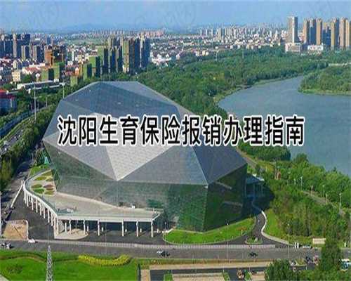 备孕前卵巢的滋养之道：试管助孕前身体调理的重要性