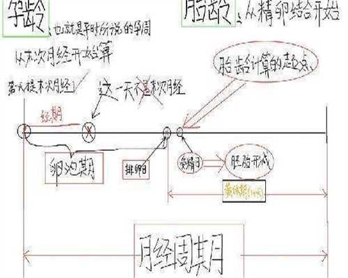 天津哪家医院做三代试管婴儿技术好？价格及服务介绍